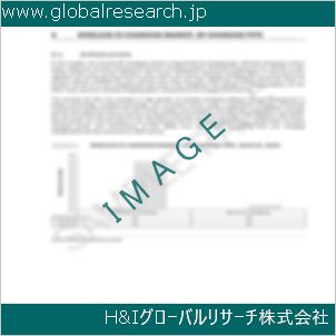 グローバルリサーチ調査資料のイメージ